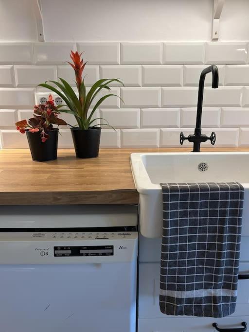 Cal Moline 2 Apartment Avia Ngoại thất bức ảnh